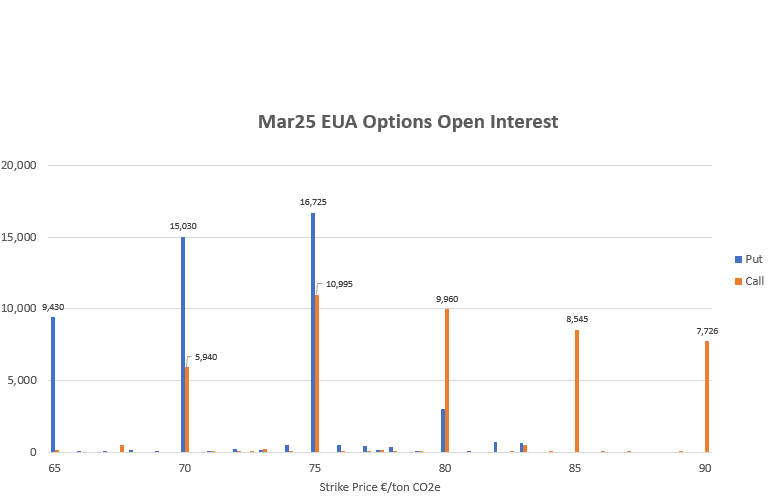 Screenshot 2025-03-06 163334